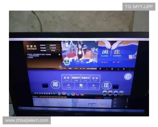 全面解析百家乐路单收集工具的功能优势及使用技巧助你在游戏中稳操胜券